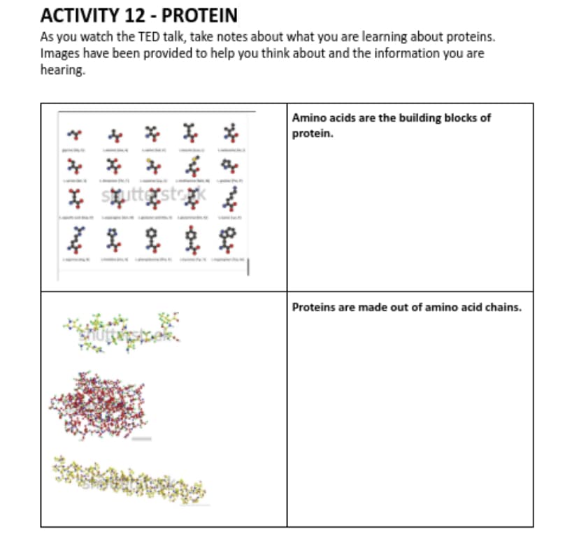 ACTIVITY 12 - PROTEIN
As you watch the TED talk, take notes about what you are learning about proteins.
Images have been provided to help you think about and the information you are
hearing.
Amino acids are the building blocks of
protein.
* * *
* Sutter
年年克军
Proteins are made out of amino acid chains.

