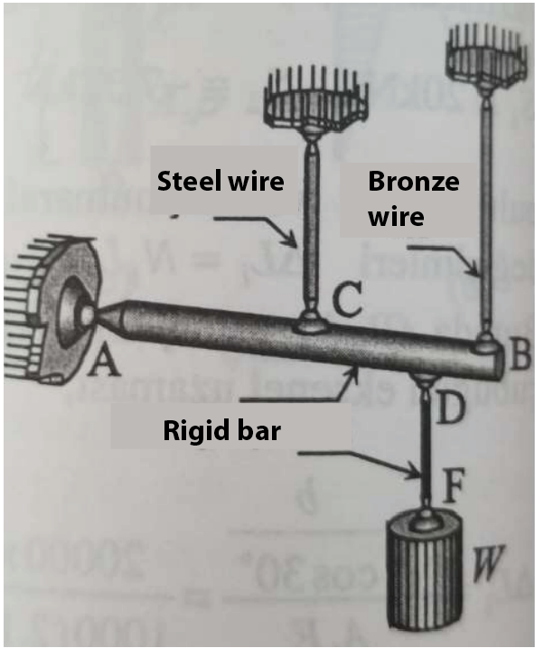 Steel wire
Bronze
wire
D
Rigid bar
F
W
