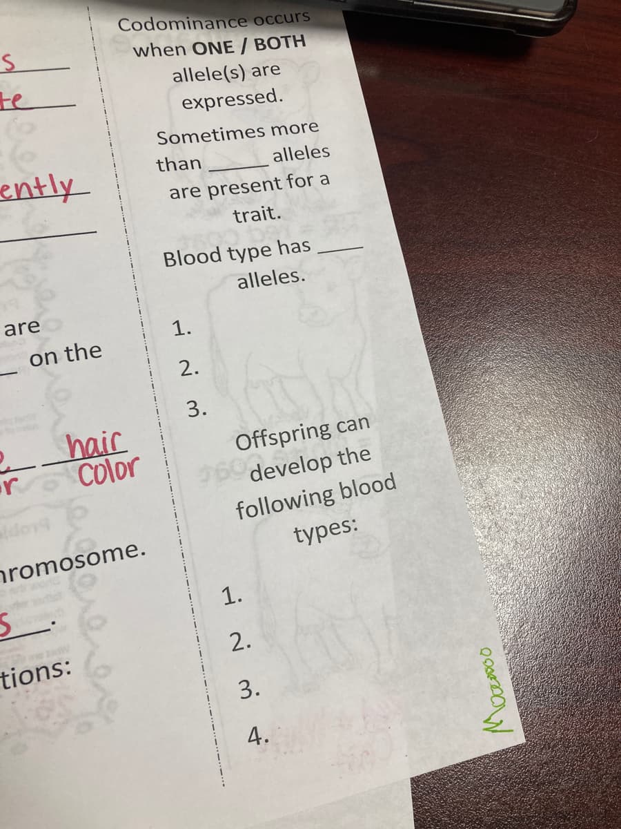 Codominance occurs
when ONE / BOTH
te
allele(s) are
expressed.
Sometimes more
ently
than
alleles
are present for a
trait.
Blood type has
alleles.
are
1.
_ on the
2.
3.
_hair
Color
Offspring can
9 develop the
following blood
types:
romosome.
1.
2.
tions:
3.
4.
