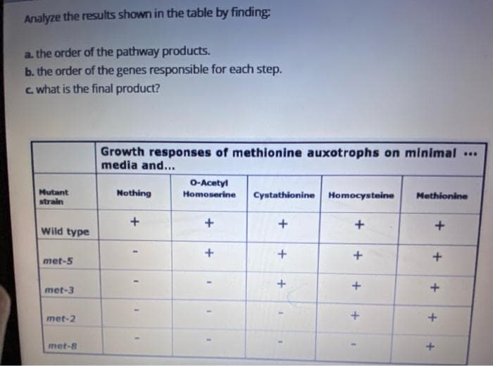 Analyze the results shown in the table by finding:
a. the order of the pathway products.
b. the order of the genes responsible for each step.
c what is the final product?
Growth responses of methionine auxotrophs on minimal ..
media and...
O-Acetyl
Mutant
strain
Nothing
Cystathionine Homocysteine
Homoserine
Methionine
+
+
Wild type
+
met-5
met-3
met-2
met-8
+
+
+
+
+
