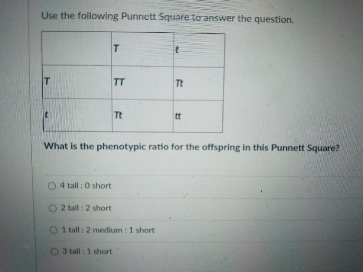 Use the following Punnett Square to answer the question.
T
TT
Tt
Tt
tt
What is the phenotypic ratio for the offspring in this Punnett Square?
O 4 tall : 0 short
O 2 tall : 2 short
O 1 tall: 2 medium : 1 short
O 3 tall: 1 short

