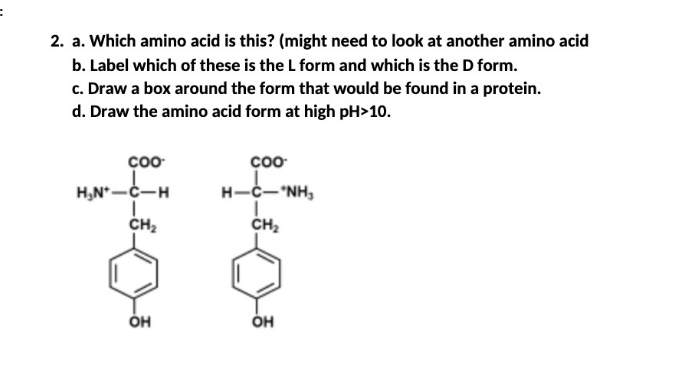 2. a. Which amino acid is this? (might need to look at another amino acid
b. Label which of these is the L form and which is the D form.
c. Draw a box around the form that would be found in a protein.
d. Draw the amino acid form at high pH>10.
çoo
coo
H,N*-C-H
H-C-'NH,
CH2
CH2
он
