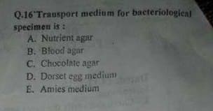 Q.16 Trausport medium for bacteriological
specimeu is :
A. Nutrient agar
B. Blood agar
C. Chocolate agar
D. Dorset egg medium
E. Amies medium
