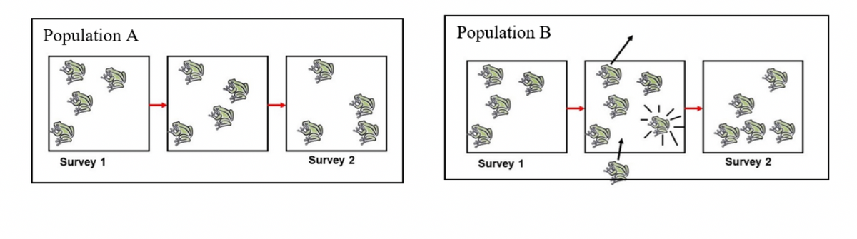 Population A
Population B
Survey 1
Survey 2
Survey 1
Survey 2
