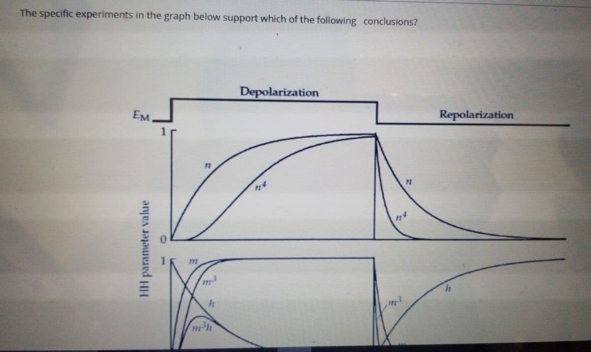 The specific experiments in the graph below support which of the following conclusions?
Depolarization
EM,
Repolarization
72
11
m2h
HH parameter value

