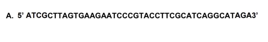 A. 5' ATCGCTTAGTGAAGAATCCCGTACCTTCGCATCAGGCATAGA3¹