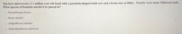 You have discovered a 2.1 million year old fossil with a parabola-shaped tooth row and a brain size of 600ec. Nearby were some Oldowan tools.
What species of hominin should it be placed in?
O Paranthropus boisei
O Homo habilis
O Andipithecus ramidus
O Australopithecus afarensis
