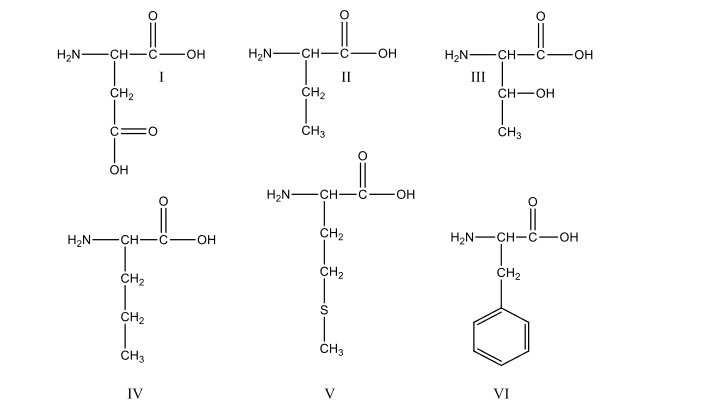 H2N -CH -C-OH
H,N -CH-C-OH
H2N -CH-C-
он
I
II
II
ČH2
CH2
ČH-OH
CH3
ČH3
OH
H2N -CH-
OH-
H2N -CH-C
CH2
H2N-CH-C-OH
HO-
CH2
CH2
CH2
CH2
ČH3
ČH3
IV
VI
