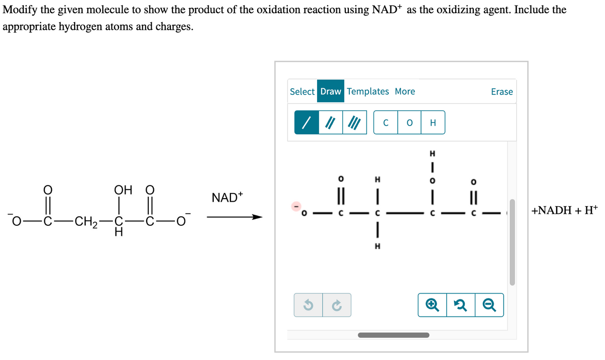 Modify the given molecule to show the product of the oxidation reaction using NAD* as the oxidizing agent. Include the
appropriate hydrogen atoms and charges.
OH O
O -C-CH₂-C ·C· -0
NAD+
Select Draw Templates More
/ ||||||
O
3
O=
→
H—
H
C
H
H
|
0-
O=
Erase
२ Q
+NADH + H+