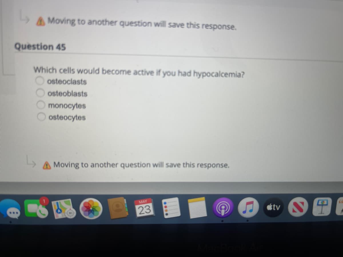 Moving to another question will save this response.
Question 45
Which cells would become active if you had hypocalcemia?
osteoclasts
osteoblasts
monocytes
osteocytes
A Moving to another question will save this response.
MAY
23
0000
(
tv
10