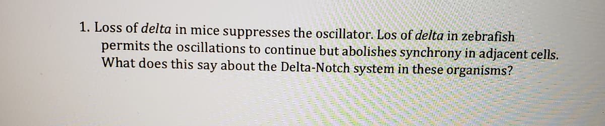 1. Loss of delta in mice suppresses the oscillator. Los of delta in zebrafish
permits the oscillations to continue but abolishes synchrony in adjacent cells.
What does this say about the Delta-Notch system in these organisms?
