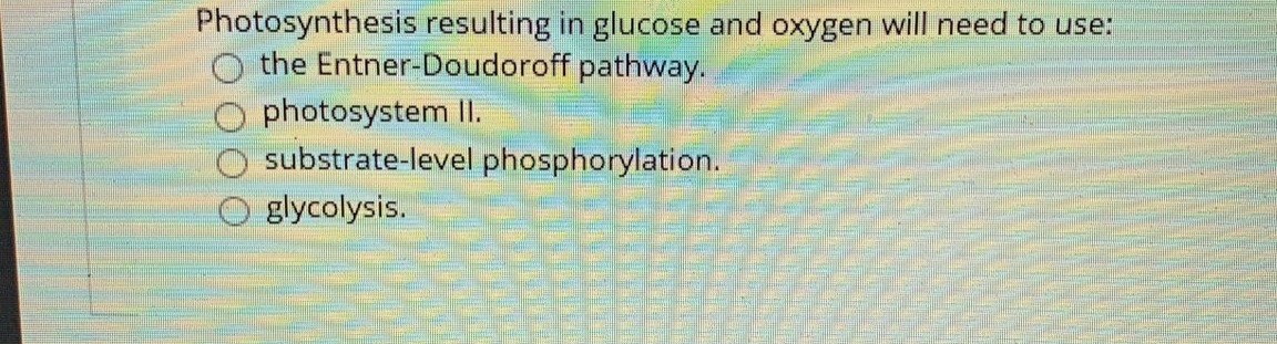 Photosynthesis resulting in glucose and oxygen will need to use:
O the Entner-Doudoroff pathway.
photosystem II.
substrate-level phosphorylation.
glycolysis.
