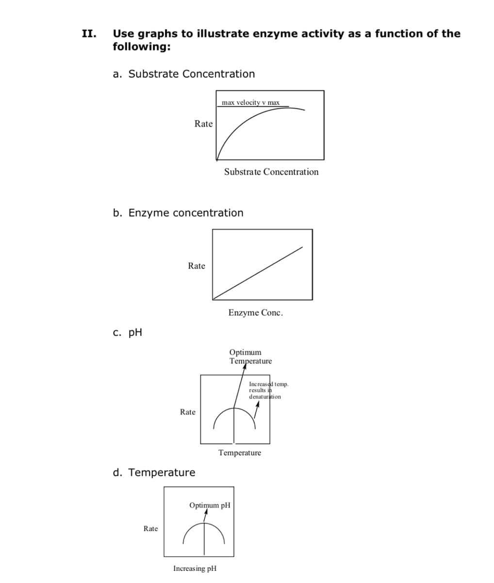 Use graphs to illustrate enzyme activity as a function of the
following:
II.
a. Substrate Concentration
max velocity v max
Rate
Substrate Concentration
b. Enzyme concentration
Rate
Enzyme Conc.
с. рH
Optimum
Temperature
Increasod temp.
results in
denaturation
Rate
Temperature
d. Temperature
Optimum pH
Rate
Increas ing pH
