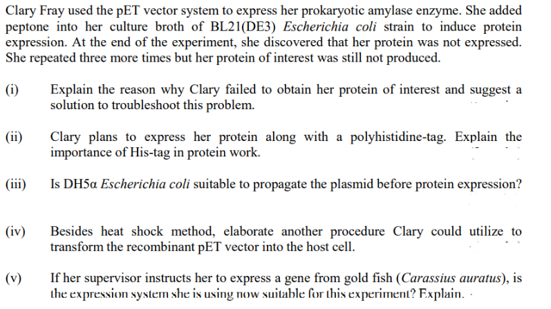 Clary Fray used the pET vector system to express her prokaryotic amylase enzyme. She added
peptone into her culture broth of BL21(DE3) Escherichia coli strain to induce protein
expression. At the end of the experiment, she discovered that her protein was not expressed.
She repeated three more times but her protein of interest was still not produced.
(i)
(ii)
(iii)
(iv)
(v)
Explain the reason why Clary failed to obtain her protein of interest and suggest a
solution to troubleshoot this problem.
Clary plans to express her protein along with a polyhistidine-tag. Explain the
importance of His-tag in protein work.
Is DH5a Escherichia coli suitable to propagate the plasmid before protein expression?
Besides heat shock method, elaborate another procedure Clary could utilize to
transform the recombinant pET vector into the host cell.
If her supervisor instructs her to express a gene from gold fish (Carassius auratus), is
the expression system she is using now suitable for this experiment? Explain.
