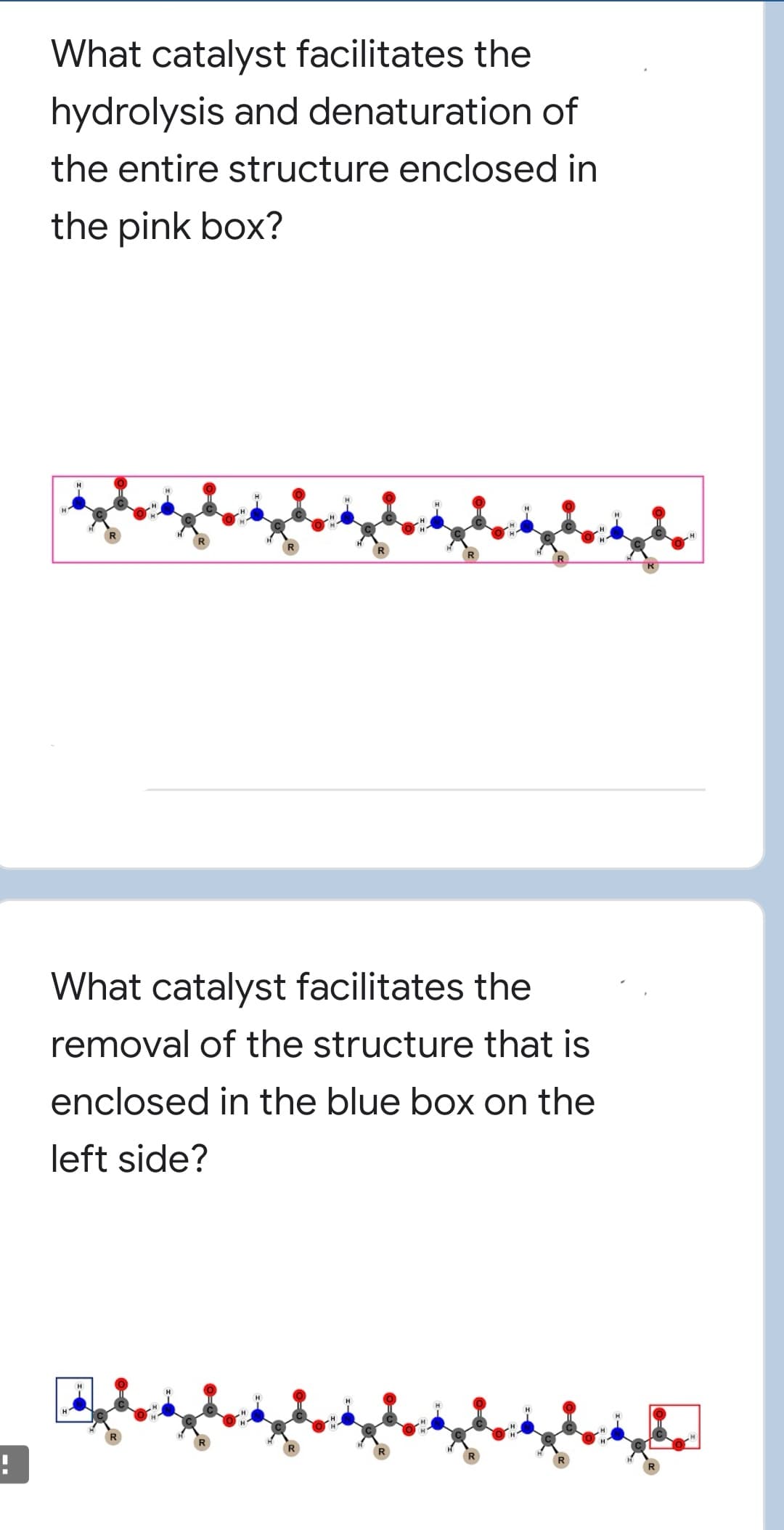 What catalyst facilitates the
hydrolysis and denaturation of
the entire structure enclosed in
the pink box?
What catalyst facilitates the
removal of the structure that is
enclosed in the blue box on the
left side?
