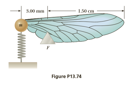3.00 mm
1.50 cm
m.
Figure P13.74
www.
