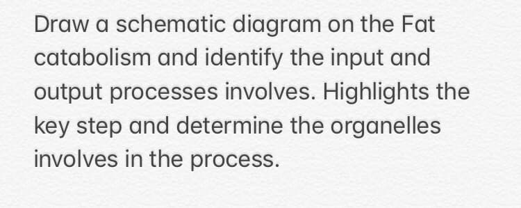 Draw a schematic diagram on the Fat
catabolism and identify the input and
output processes involves. Highlights the
key step and determine the organelles
involves in the process.
