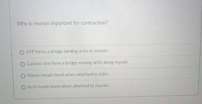 Why is myosin important for contraction?
O ATP forms a bridge binding actin to myosin.
O Calcium ions form a bridge moving actin along myosin.
O Myosin heads bend when attached to actin
O Actin heads bend when attached to myosin.
