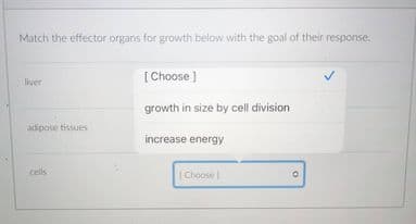 Match the effector organs for growth below with the goal of their response.
[Choose ]
liver
growth in size by cell division
adipose tissues
increase energy
cells
|Choose
