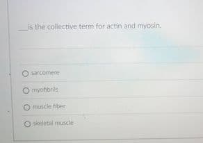 is the collective term for actin and myosin.
sarcomere
O myofibrils
O muscle fiber
O skeletal muscle
