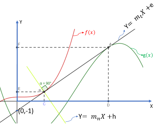 Y
•f(x)
Y= m¿X +e
g(x)
a = 90°
(0,-1)
D
•Y= m„X +h
