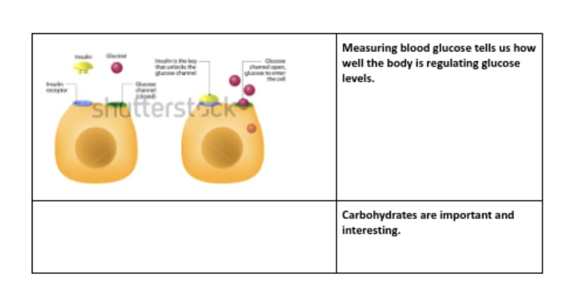 Measuring blood glucose tells us how
well the body is regulating glucose
n ey
channel
chan
levels.
"sit tterstock
Carbohydrates are important and
interesting.
il
