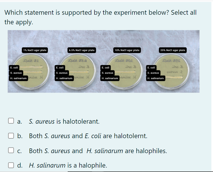 Which statement is supported by the experiment below? Select all
the apply.
1% Nacl agar plate
6.5% Nacl agar plate
10% Nacl agar plate
25% Nacl agar plate
E. coli
E. coli
Was 3
E. coli
Was 3
E. cli
Was 3
S. aureus
S. aureus
S. aureus
S. aureus
H. salinariumilal H
H. salinarium oe H
H. salinarium
H. salinarium
S. aureus is halotolerant.
а.
b. Both S. aureus and E. coli are halotolernt.
O c.
Both S. aureus and H. salinarum are halophiles.
С.
d. H. salinarum is a halophile.
