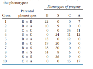 the phenotypes:
Phenotypes of progeny
Parental
Cross
phenotypes
B
A
Bx B
Bx A
C x C
Sx C
1
22
7
2
10
34
11
4
24
11
12
ВхА
13
12
Bx C
Bx S
Bx S
S x S
C x A
19
20
18
20
8
14
8
6.
26
9.
10
15
17
