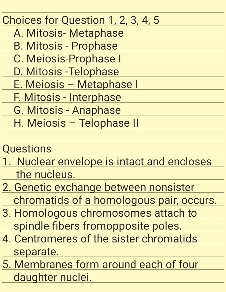 Choices for Question 1, 2, 3, 4, 5
A. Mitosis- Metaphase
B. Mitosis - Prophase
C. Meiosis-Prophase I
D. Mitosis -Telophase
E. Meiosis - Metaphase I
F. Mitosis - Interphase
G. Mitosis - Anaphase
H. Meiosis - Telophase II
Questions
1. Nuclear envelope is intact and encloses
the nucleus.
2. Genetic exchange between nonsister
chromatids of a homologous pair, occurs.
3. Homologous chromosomes attach to
spindle fibers fromopposite poles.
4. Centromeres of the sister chromatids
separate.
5. Membranes form around each of four
daughter nuclei.
