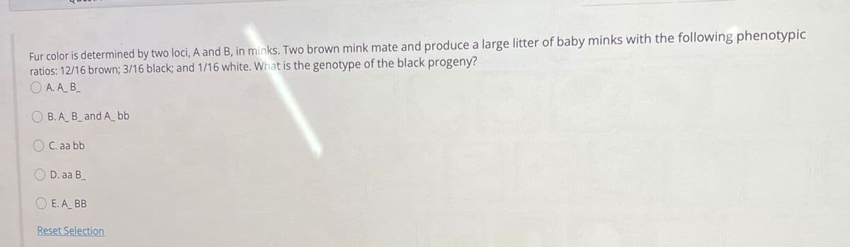 Fur color is determined by two loci, A and B, in minks. Two brown mink mate and produce a large litter of baby minks with the following phenotypic
ratios: 12/16 brown; 3/16 black; and 1/16 white. What is the genotype of the black progeny?
O A. A_ B_
B. A_ B_ and A_ bb
O C. aa bb
O D. aa B_
O E. A BB
Reset Selection
