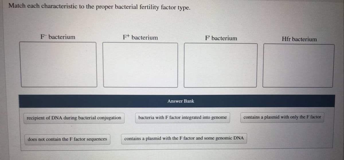 Match each characteristic to the proper bacterial fertility factor type.
F bacterium
F+ bacterium
F bacterium
Hfr bacterium
Answer Bank
recipient of DNA during bacterial conjugation
bacteria with F factor integrated into genome
contains a plasmid with only the F factor
does not contain the F factor sequences
contains a plasmid with the F factor and some genomic DNA

