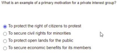 What is an example of a primary motivation for a private interest group?
To protect the right of citizens to protest
To secure civil rights for minorities
O To protect open lands for the public
To secure economic benefits for its members