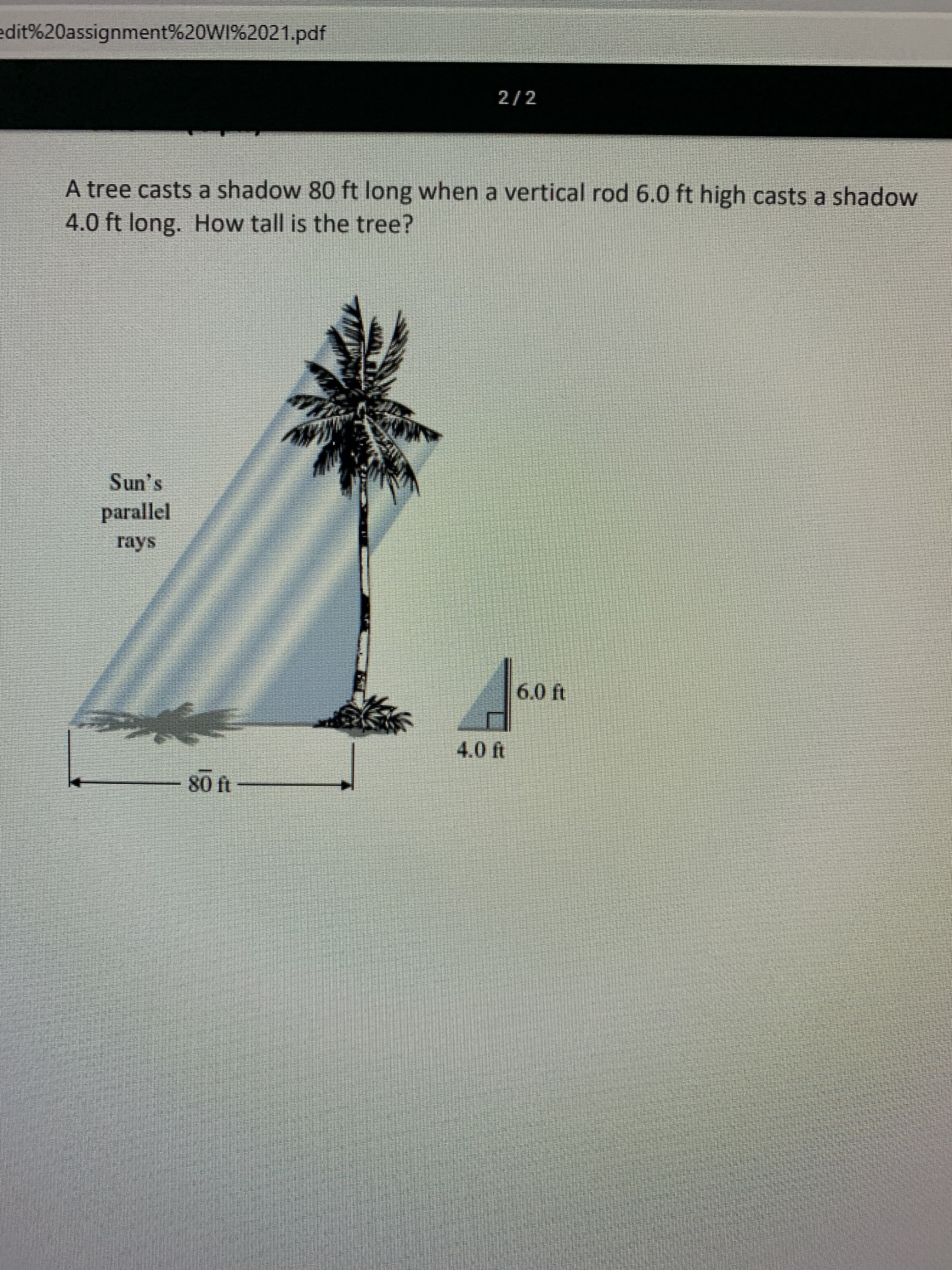 A tree casts a shadow 80 ft long when a vertical rod 6.0 ft high casts a shadow
4.0 ft long. How tall is the tree?
