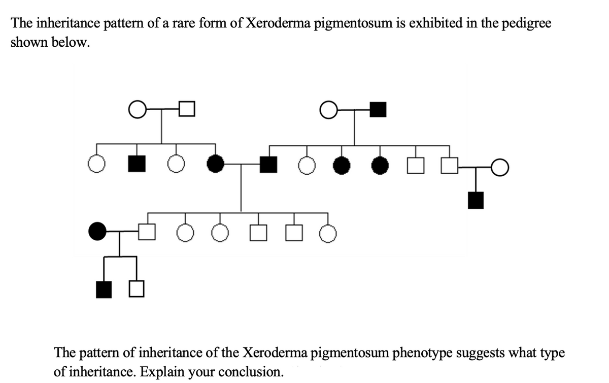 The inheritance pattern of a rare form of Xeroderma pigmentosum is exhibited in the pedigree
shown below.
The pattern of inheritance of the Xeroderma pigmentosum phenotype suggests what type
of inheritance. Explain your conclusion.
