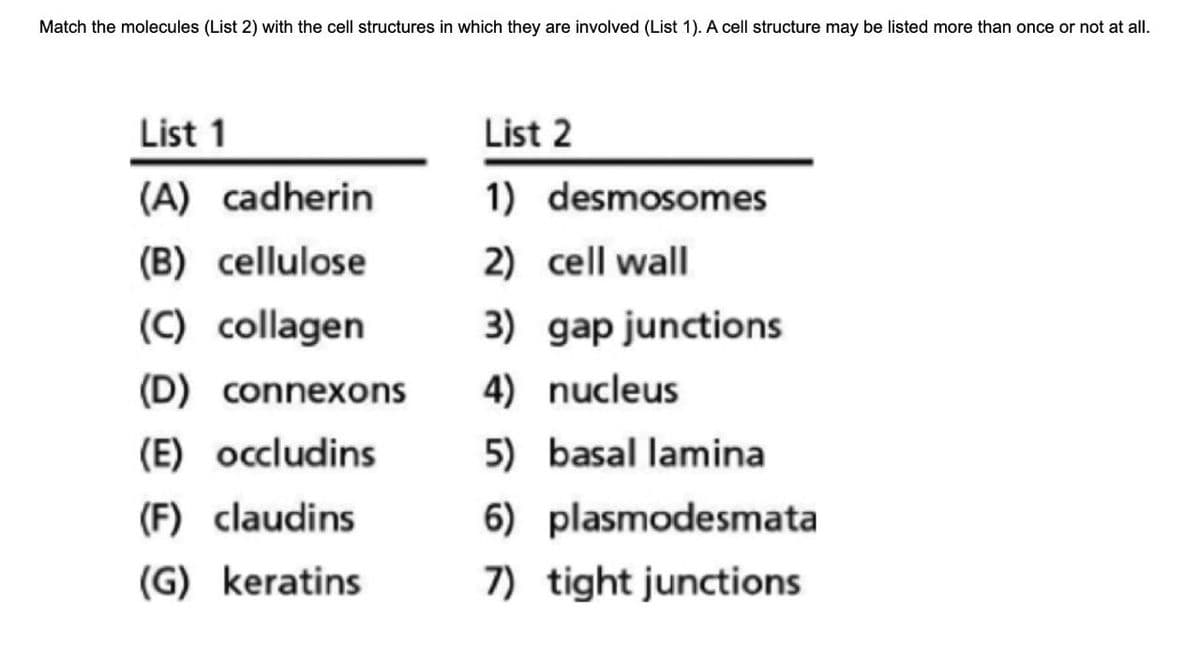 Match the molecules (List 2) with the cell structures in which they are involved (List 1). A cell structure may be listed more than once or not at all.
List 1
List 2
(A) cadherin
1) desmosomes
(B) cellulose
2) cell wall
(C) collagen
3) gap junctions
(D) connexons
4) nucleus
(E) occludins
5) basal lamina
(F) claudins
6) plasmodesmata
(G) keratins
7) tight junctions
