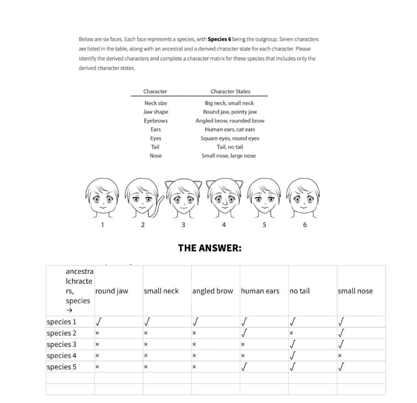Below are six faces. Each face represents a species, with Species 6 being the outgroup. Seven characters
are listed in the table, along with an ancestral and a derived character state for each character. Please
identify the derived characters and complete a character matrix for these species that includes only the
derived character states.
ancestra
Ichracte
rs,
species
→
species 1
species 2
species 3
species 4
species 5
round jaw
✓
X
X
X
X
Character
Neck size
Jaw shape
Eyebrows
Ears
2
small neck
✓
X
X
Eyes
Tail
Nose
X
X
3
Character States
Big neck, small neck
Round jaw, pointy jaw
Angled brow, rounded brow
THE ANSWER:
✓
X
angled brow human ears
X
Human ears, cat ears
Square eyes, round eyes
Tail, no tail
Small nose, large nose
X
X
√
✓
X
5
X
✓
no tail
✓
X
✓
√
6
✓
small nose
✓
√
√
X
√