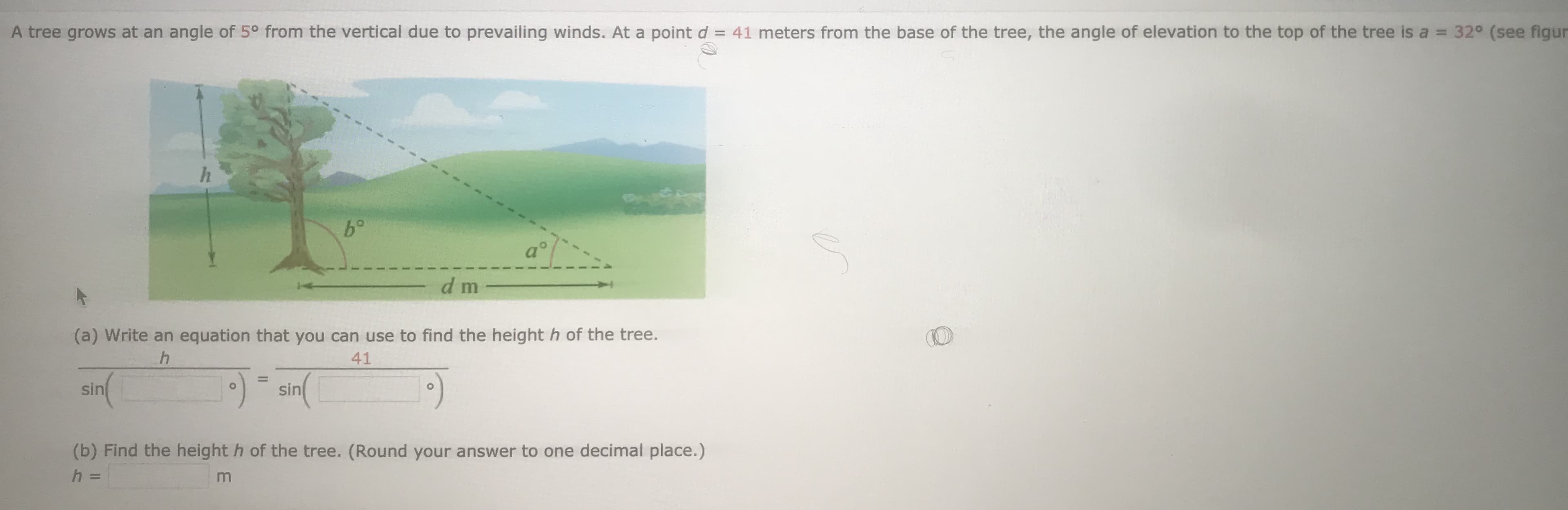 A tree grows at an angle of 5° from the vertical due to prevailing winds. At a point d = 41 meters from the base of the tree, the angle of elevation to the top of the tree is a = 32° (see figur
b°
d m
(a) Write an equation that you can use to find the height h of the tree.
41
sin
) sin(
%3D
(b) Find the height h of the tree. (Round your answer to one decimal place.)
h.
%3D
