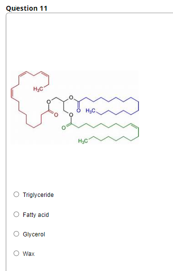 Question 11
H3C
H3C
H3C
Triglyceride
Fatty acid
Glycerol
Wax
