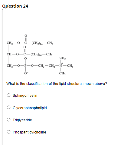 Question 24
CH,-0-C-(CH,)14–CH,
CH-0-C-(CH2)16-CH,
CH3
сH, —о—р—о—сн, — сн, — N—сн,
CH,
What is the classification of the lipid structure shown above?
Sphingomyelin
Glycerophospholipid
Triglyceride
Phospahtidylcholine

