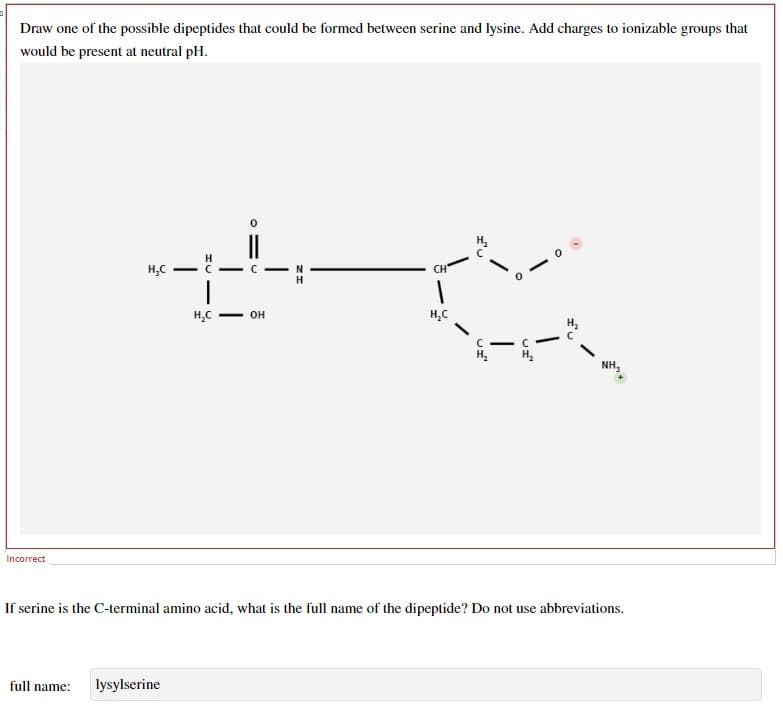 Draw one of the possible dipeptides that could be formed between serine and lysine. Add charges to ionizable groups that
would be present at neutral pH.
Incorrect
H₂C
-
― c
N
H₂C
OH
H₂C
-
NH,
If serine is the C-terminal amino acid, what is the full name of the dipeptide? Do not use abbreviations.
full name:
lysylserine