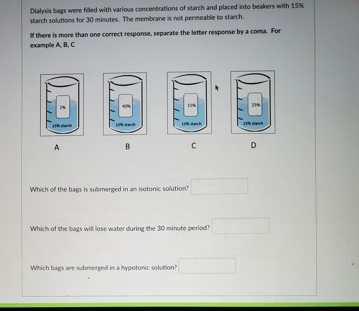 Dialysis bags were filled with various concentrations of starch and placed into beakers with 15%
starch solutions for 30 minutes. The membrane is not permeable to starch.
If there is more than one correct response, separate the letter response by a coma. For
example A, B, C
40%
15%
25%
1%
15% starch
15% starch
15% starch
15% starch
A
В
C
Which of the bags is submerged in an isotonic solution?
Which of the bags will lose water during the 30 minute period?
Which bags are submerged in a hypotonic solution?
