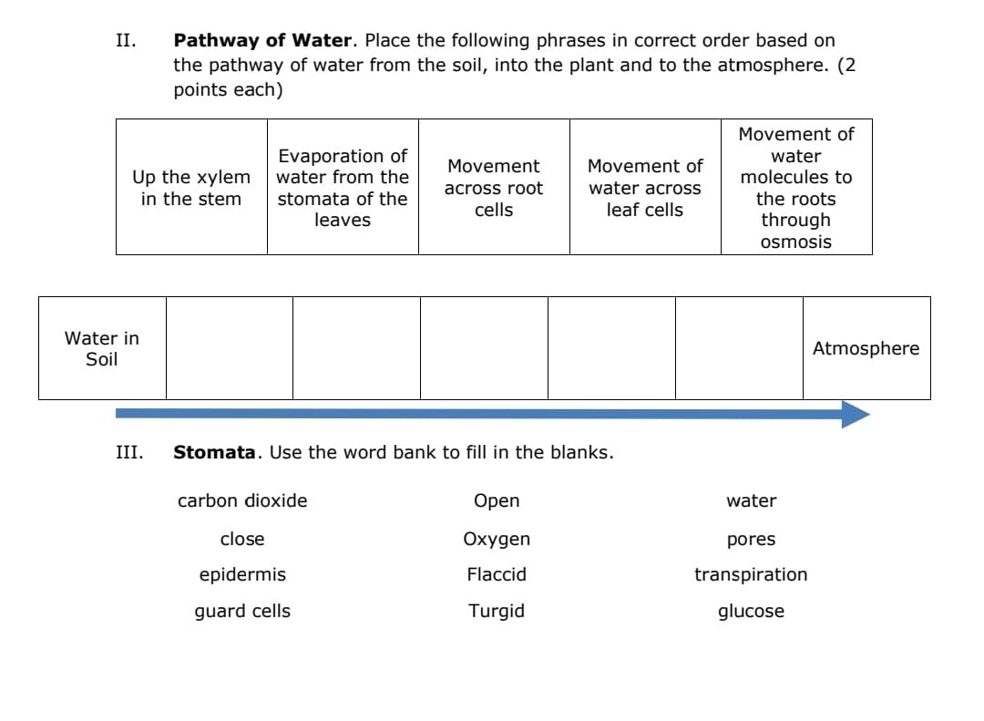 II.
Pathway of Water. Place the following phrases in correct order based on
the pathway of water from the soil, into the plant and to the atmosphere. (2
points each)
Evaporation of
water from the
stomata of the
leaves
Up the xylem
in the stem
Movement
across root
cells
Movement of
water
molecules to
the roots
Movement of
water across
leaf cells
through
osmosis
Stomata. Use the word bank to fill in the blanks.
carbon dioxide
Open
close
Oxygen
epidermis
Flaccid
guard cells
Turgid
Water in
Soil
III.
water
pores
transpiration
glucose
Atmosphere