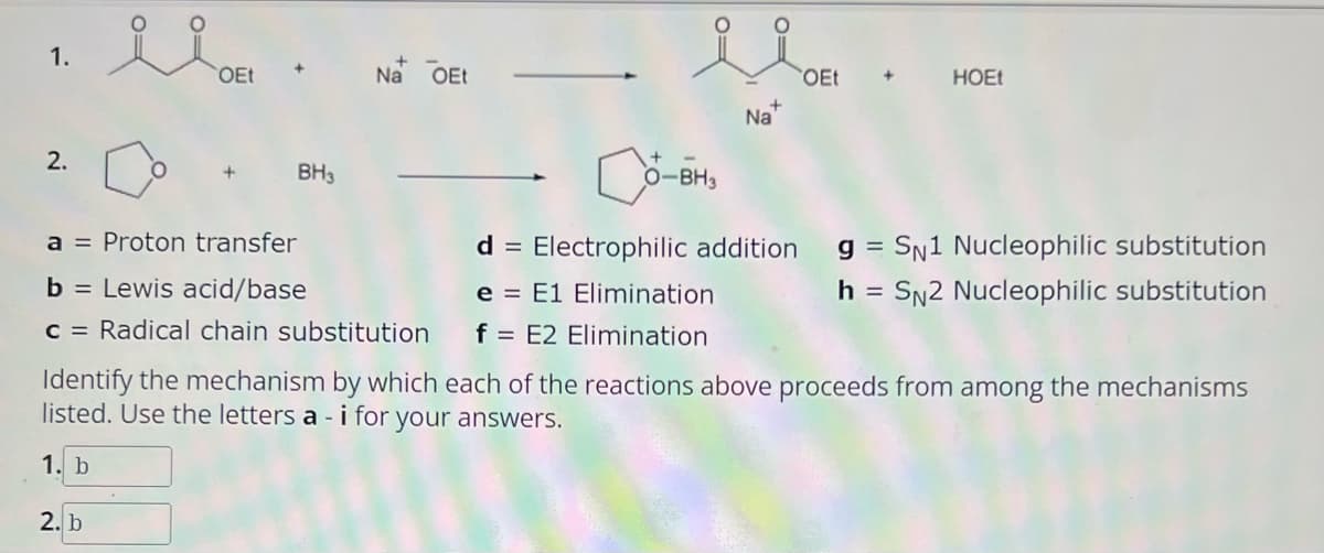 1.
2.
OEt
BH3
2. b
Na OEt
a = Proton transfer
b = Lewis acid/base
c = Radical chain substitution
ii
O-BH3
+
e
E1 Elimination
f = E2 Elimination
Na
OEt
HOEt
d = Electrophilic addition g= SN1 Nucleophilic substitution
h = SN2 Nucleophilic substitution
Identify the mechanism by which each of the reactions above proceeds from among the mechanisms
listed. Use the letters a- - i for your answers.
1. b