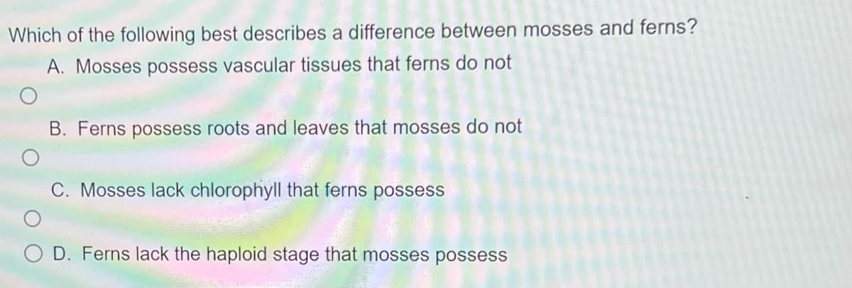 Which of the following best describes a difference between mosses and ferns?
A. Mosses possess vascular tissues that ferns do not
B. Ferns possess roots and leaves that mosses do not
C. Mosses lack chlorophyll that ferns possess
D. Ferns lack the haploid stage that mosses possess