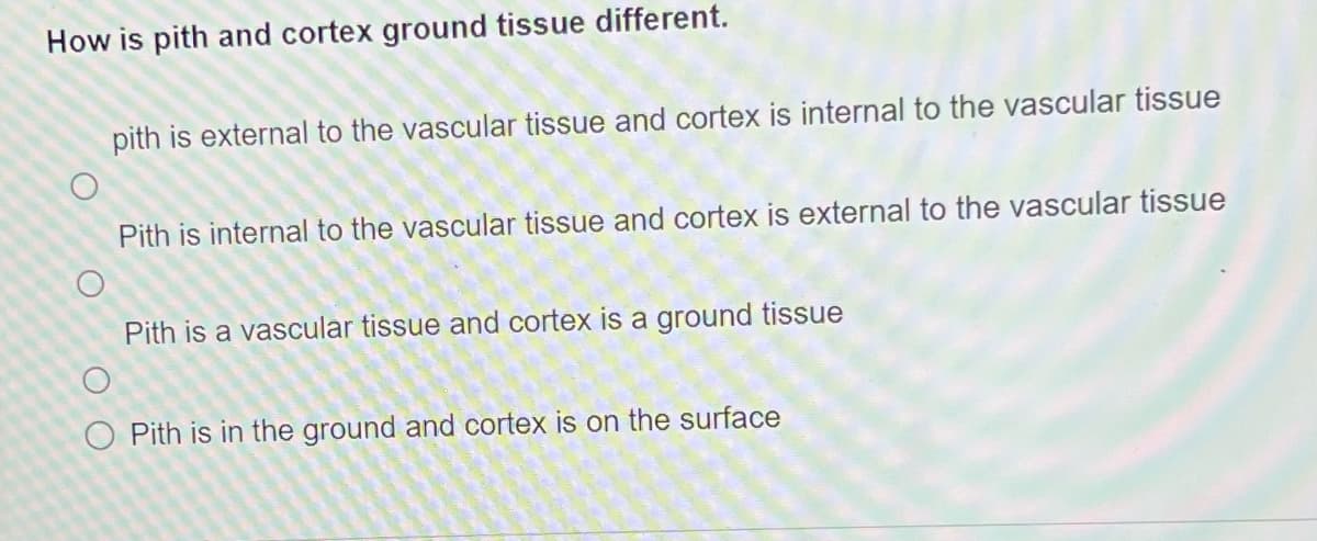 How is pith and cortex ground tissue different.
O
O O
pith is external to the vascular tissue and cortex is internal to the vascular tissue
Pith is internal to the vascular tissue and cortex is external to the vascular tissue
Pith is a vascular tissue and cortex is a ground tissue
O Pith is in the ground and cortex is on the surface