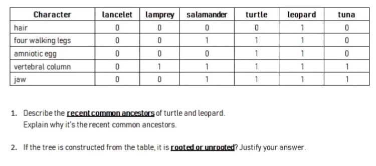 Character
hair
four walking legs
amniotic egg
vertebral column
jaw
lancelet
0
0
0
0
0
lamprey
0
0
0
1
0
salamander
0
1
0
1
1
1. Describe the recent common ancestors of turtle and leopard.
Explain why it's the recent common ancestors.
turtle
0
1
1
1
1
leopard
1
1
1
1
1
2. If the tree is constructed from the table, it is rooted or unrooted? Justify your answer.
tuna
0
0
0
1
1
