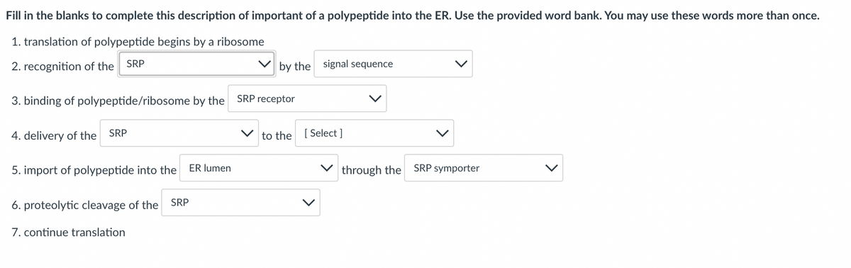 Fill in the blanks to complete this description of important of a polypeptide into the ER. Use the provided word bank. You may use these words more than once.
1. translation of polypeptide begins by a ribosome
2. recognition of the
SRP
by the signal sequence
3. binding of polypeptide/ribosome by the
SRP receptor
4. delivery of the
SRP
to the [ Select ]
5. import of polypeptide into the
ER lumen
V through the
SRP symporter
6. proteolytic cleavage of the
SRP
7. continue translation
>
