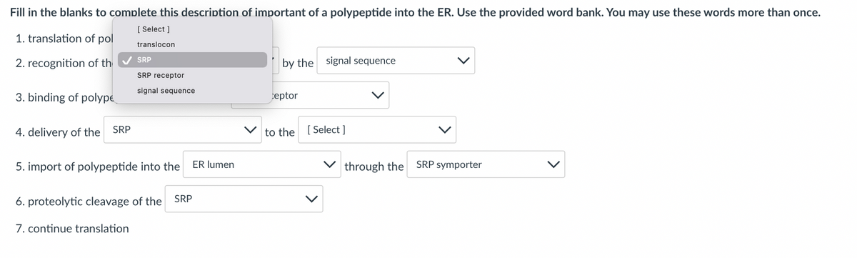 Fill in the blanks to complete this description of important of a polypeptide into the ER. Use the provided word bank. You may use these words more than once.
[ Select ]
1. translation of pol
translocon
SRP
2. recognition of th
by the signal sequence
SRP receptor
signal sequence
3. binding of polype
teptor
SRP
4. delivery of the
to the [ Select ]
5. import of polypeptide into the
ER lumen
through the
SRP symporter
6. proteolytic cleavage of the
SRP
7. continue translation
