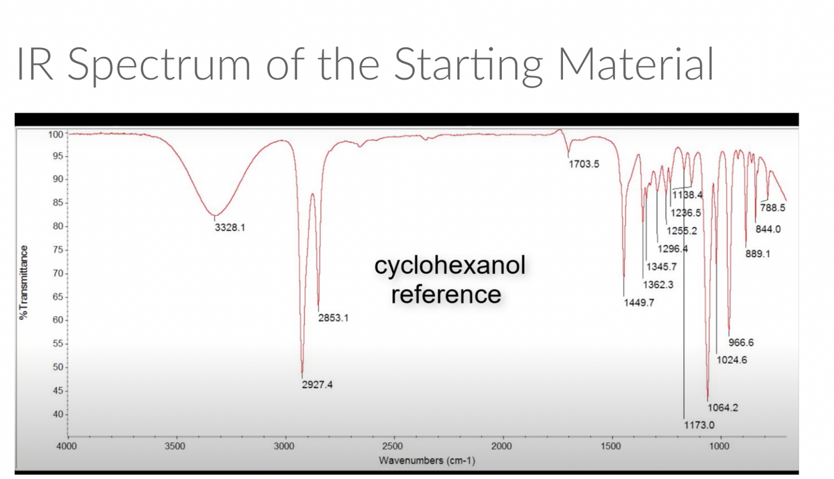 IR Spectrum of the Starting Material
100
95-
1703.5
90 -
1138.4
85
788.5
1236.5
80-
3328.1
1255.2
844.0
75-
1296.4
889.1
cyclohexanol
reference
1345.7
70-
1362.3
65
1449.7
2853.1
60-
55-
966.6
1024.6
50 -
2927.4
45-
1064.2
40-
1173.0
4000
3500
3000
2500
2000
1500
1000
Wavenumbers (cm-1)
%Transmittance
