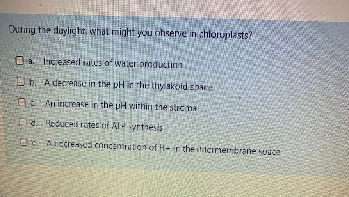 During the daylight, what might you observe in chloroplasts?
Oa. Increased rates of water production
O b. A decrease in the pH in the thylakoid space
Uc.
An increase in the pH within the stroma
d. Reduced rates of ATP synthesis
Ue.
A decreased concentration of H+ in the intermembrane space
